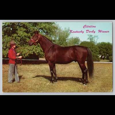#ad Postcard Citation Kentucky Derby Winner Horse Racing Lexington KY $16.99