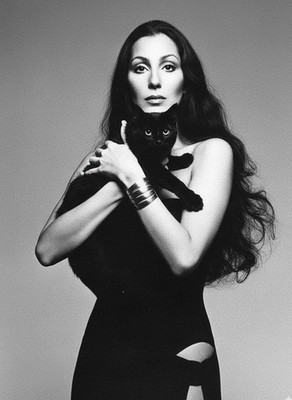 Cher sexy black cat Pin Up High Quality Metal Fridge Magnet 3x4 1171