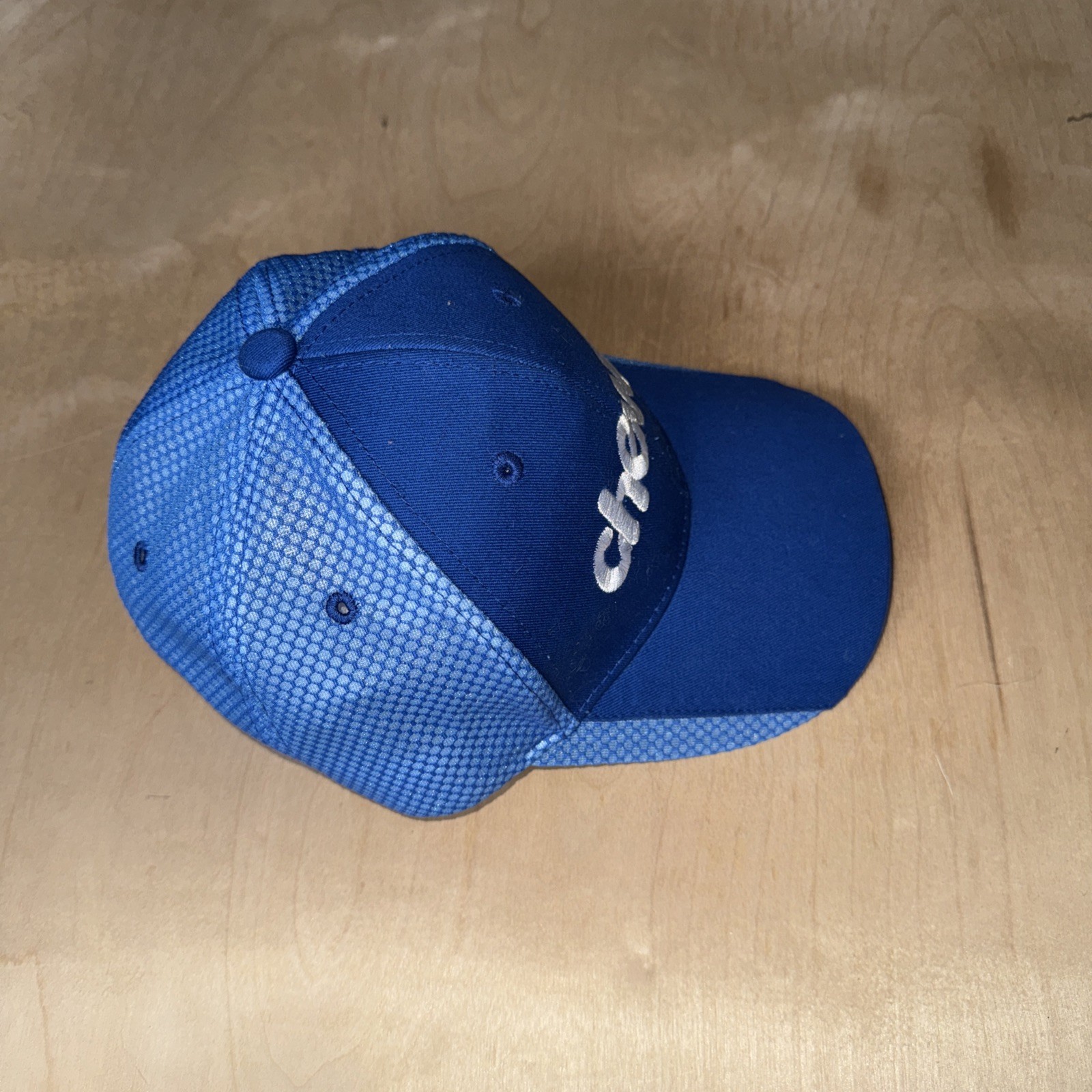 Chewy Blue Baseball Cap - image 4