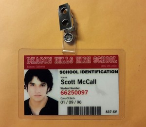 scott mccall shoes