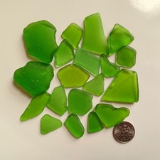 Genuine Surf Tumbled Sea Glass, 19 med lime green pieces, JQ, Frosted, NYC beach