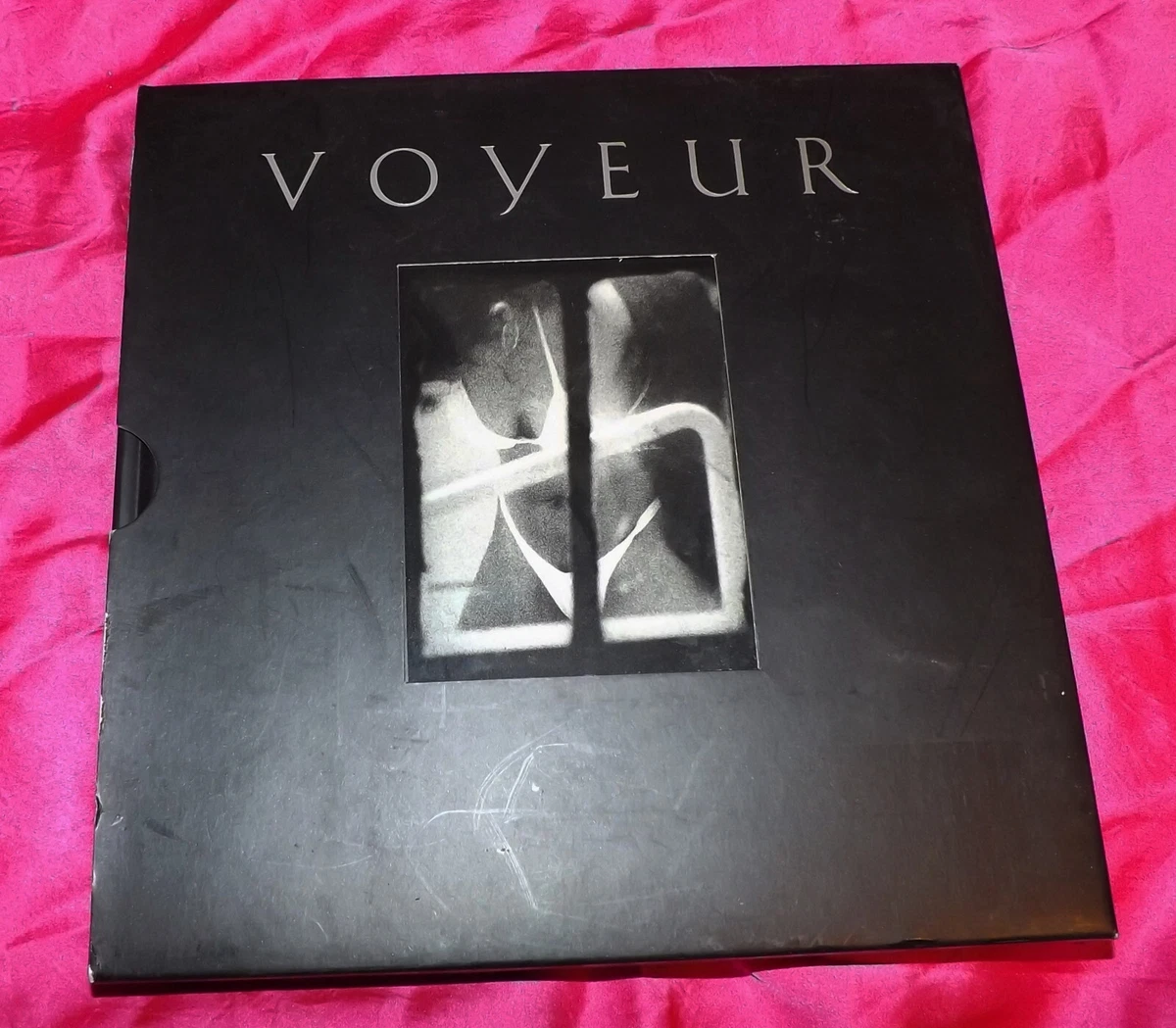 🌈 Voyeur by Luc Sante - 1st Edition 1999 HC WSlipcase 9780060195229 | eBay