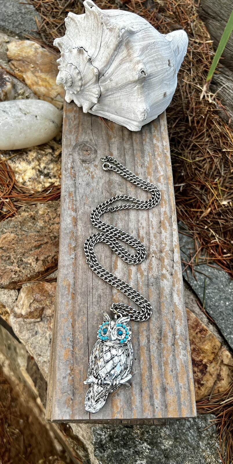 Picture 4 of 5