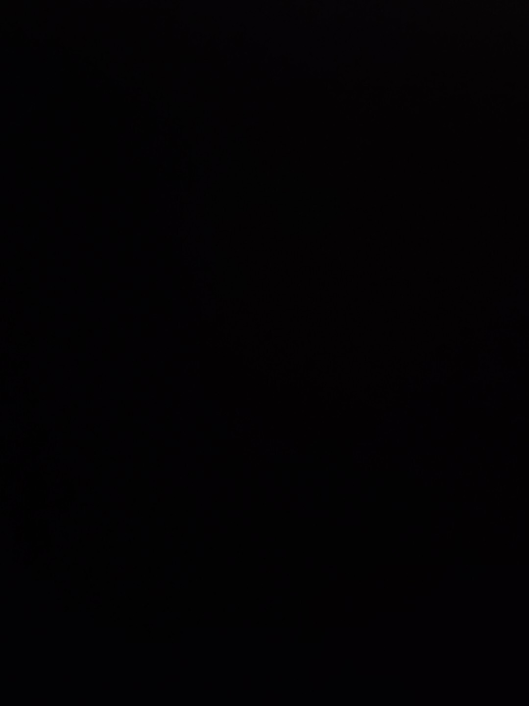 Bild 11 von 17