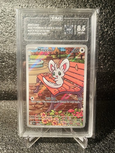 Minccino graded TAG 8.5 for sale on eBay