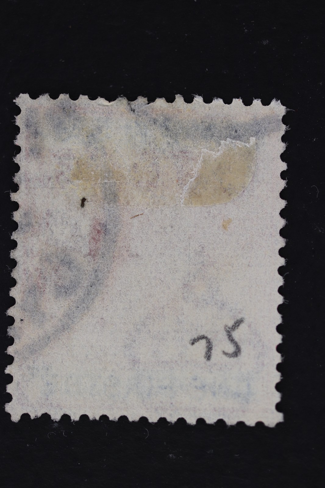 Picture 2