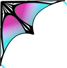 Large Beach Delta Kites for Adults and Kids Ages 4-8  8-12, Extremely Easy to F