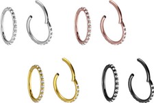 PIERCINGLINE  Piercing Ring Titan Segmentring...