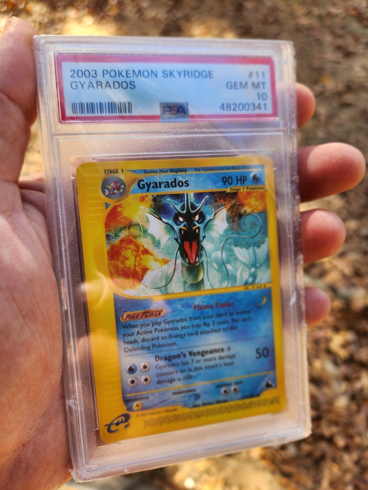Gyarados 11/144 Skyridge Regular PSA 10 GEM