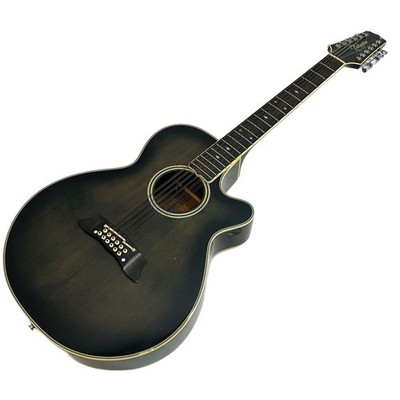 訳あり Takamine NPT110-12 12弦エレアコギター タカミネ 訳あり Takamine NPT110-12 12弦エレアコギター タカミネ