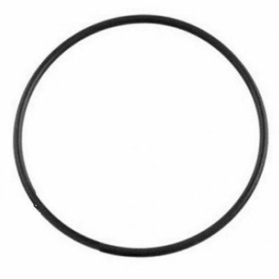 Astral Pump DECKEL O-RING Ersatz (BX(vor 2017)/Viron P300/600) Kostenloser...