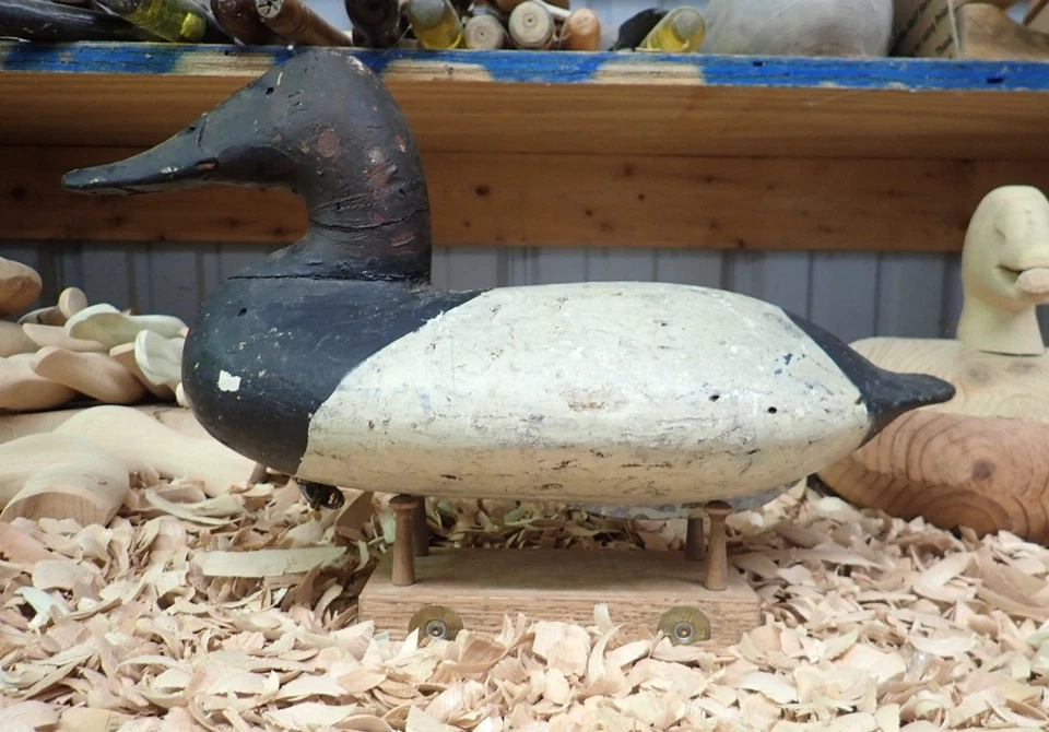 Will Heverin  (1860-1951) Canvasback Drake Decoy - Image 2 of 4