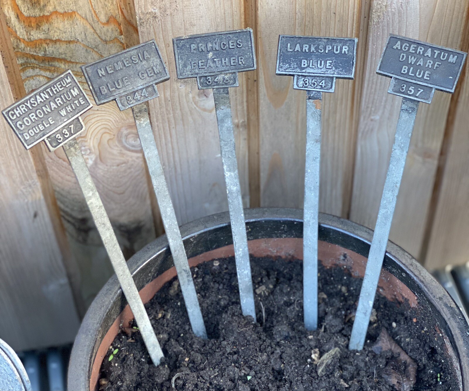 Vintage Old Metal Zinc Botanical Plant Identification Location Labels