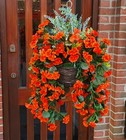 Bild 3 von 12