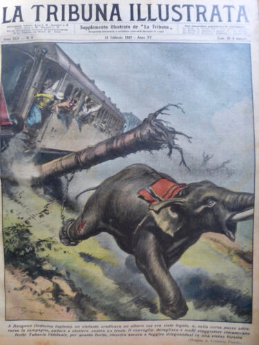 1937 Ti Animals Indochine English Rangoon Elephant Tie Up Tree Train  Derailler | eBay