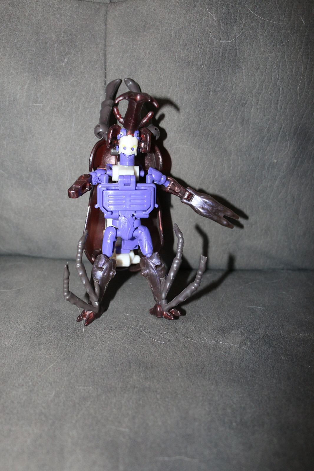 Picture 3 of 6