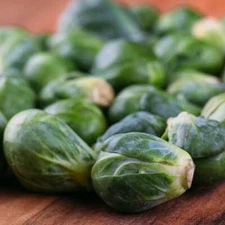 Catskill Brussels Sprouts Seeds, NON-GMO, Variety Packet Sizes, FREE SHIPPING