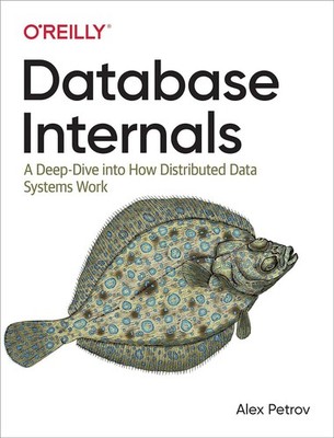 Database Internals Paperback e899