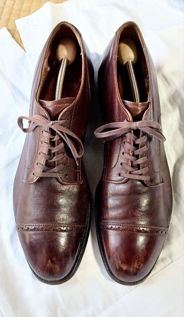Alden 564 Dark Brown Kidskin Perforated Straight Tip Blucher