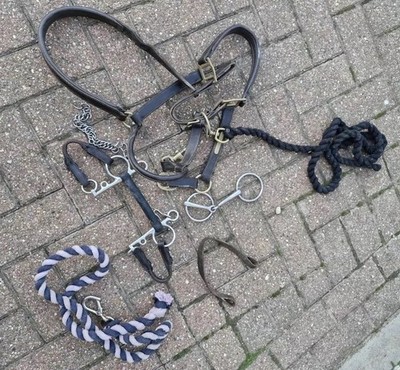 Leder Pferd Zügel Geschirr Reiten D-RING GEBOGENES MUNDSTÜCK GEBISS Reitset