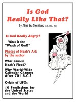 Paul G. Sweitzer | Is God Really Like That? | Taschenbuch | Englisch (2004)