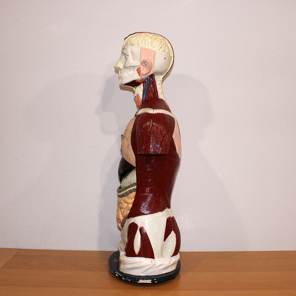 Foto 4 di 22
