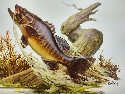 Lot of 17 Fred Sweney 3D Formcraft Fish Art Print  About 15'' x 13'' VTG Damage