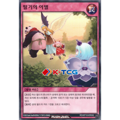 Yugioh Card 