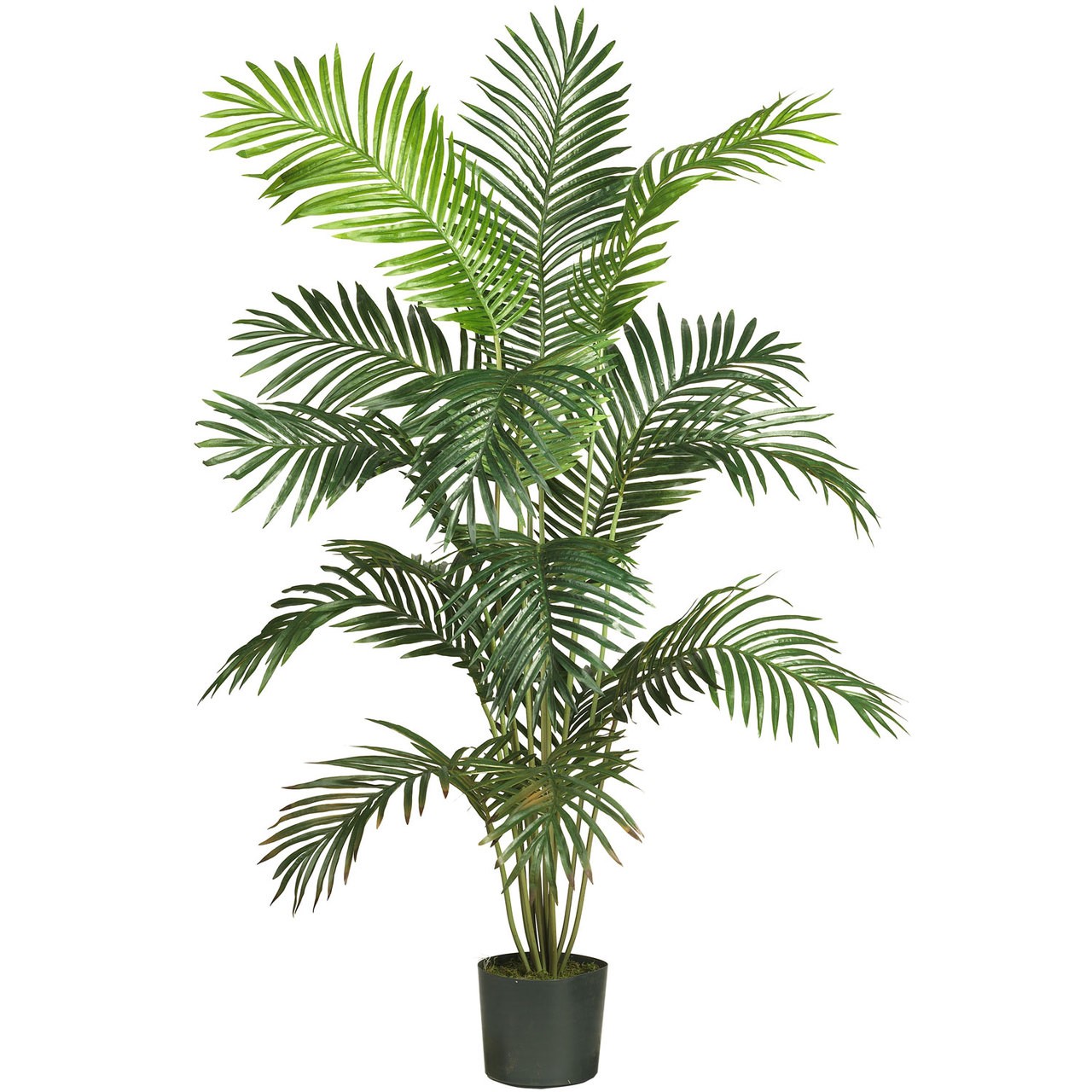 6ft Paradise Palm Silk Artificial Tree for Home Decor