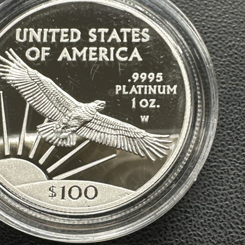 2017-W $100 American Eagle 20th Ann. 1 oz Platinum Proof Coin READ DESCRIPTION - Picture 7 of 18