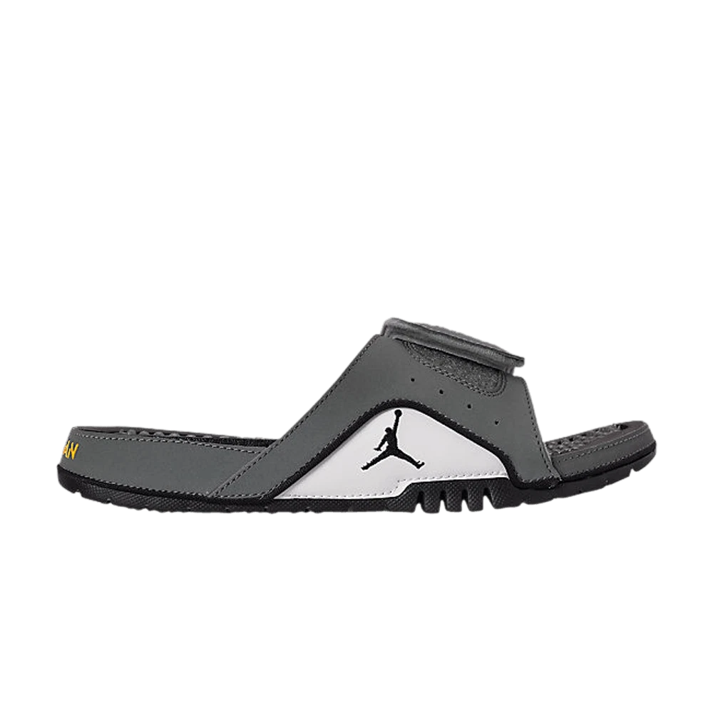 Jordan Hydro 4 Retro Cool Grey for Sale | Authenticity Guaranteed