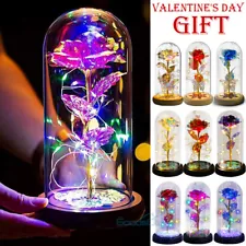 LED Rose Flower In Glass For Women Wife Her Valentine Girlfriend Birthday Gift