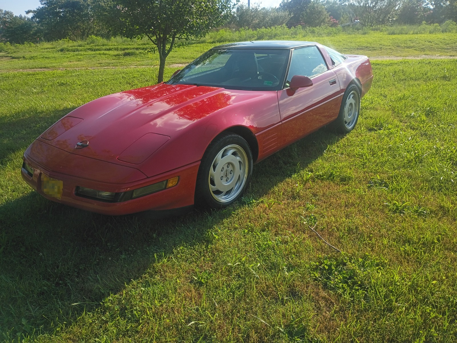 1992 Red Chevrolet Corvette   | C4 Corvette Photo 3
