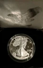 2026-W American Silver Eagle Proof (1776-2026) SOLD OUT FROM THE MINT!!