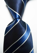 New Classic Striped Blue White JACQUARD WOVEN 100 Silk Men's Tie Necktie
