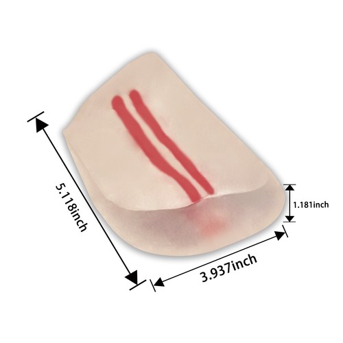 Ultraschall geführte Femoralpunktion Transparenz Modell, mit Arterie und Vene DE - Bild 6 von 9