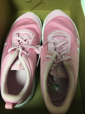 Nike Flex Experience RN Youth 5Y Pink Rise
