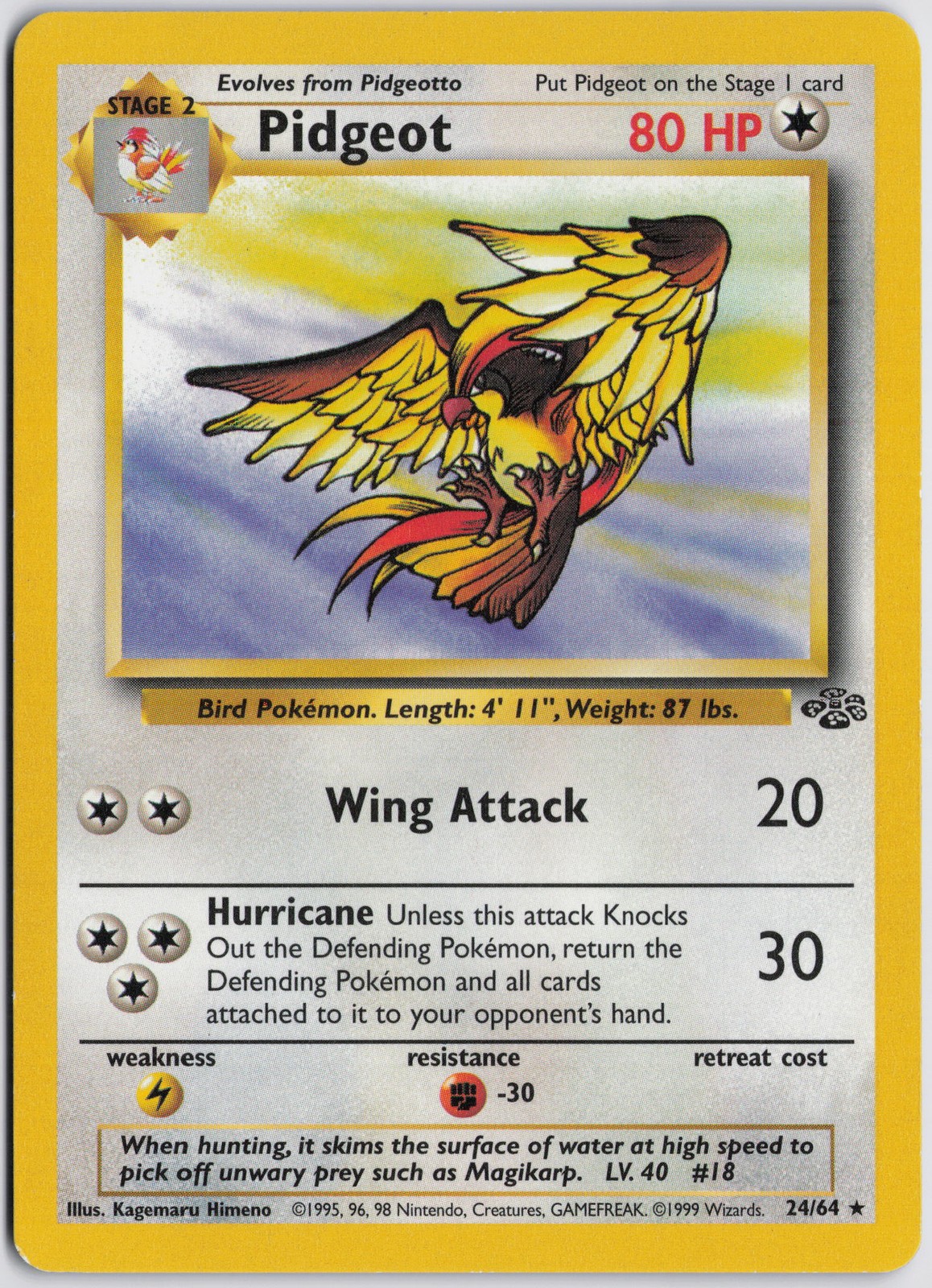 Pidgeot (24) Rare Jungle 24/64 NM