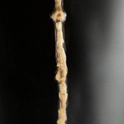 Cyan Design 11358 Begonia 10 X 3 inch Vase, Small - Picture 6 of 6