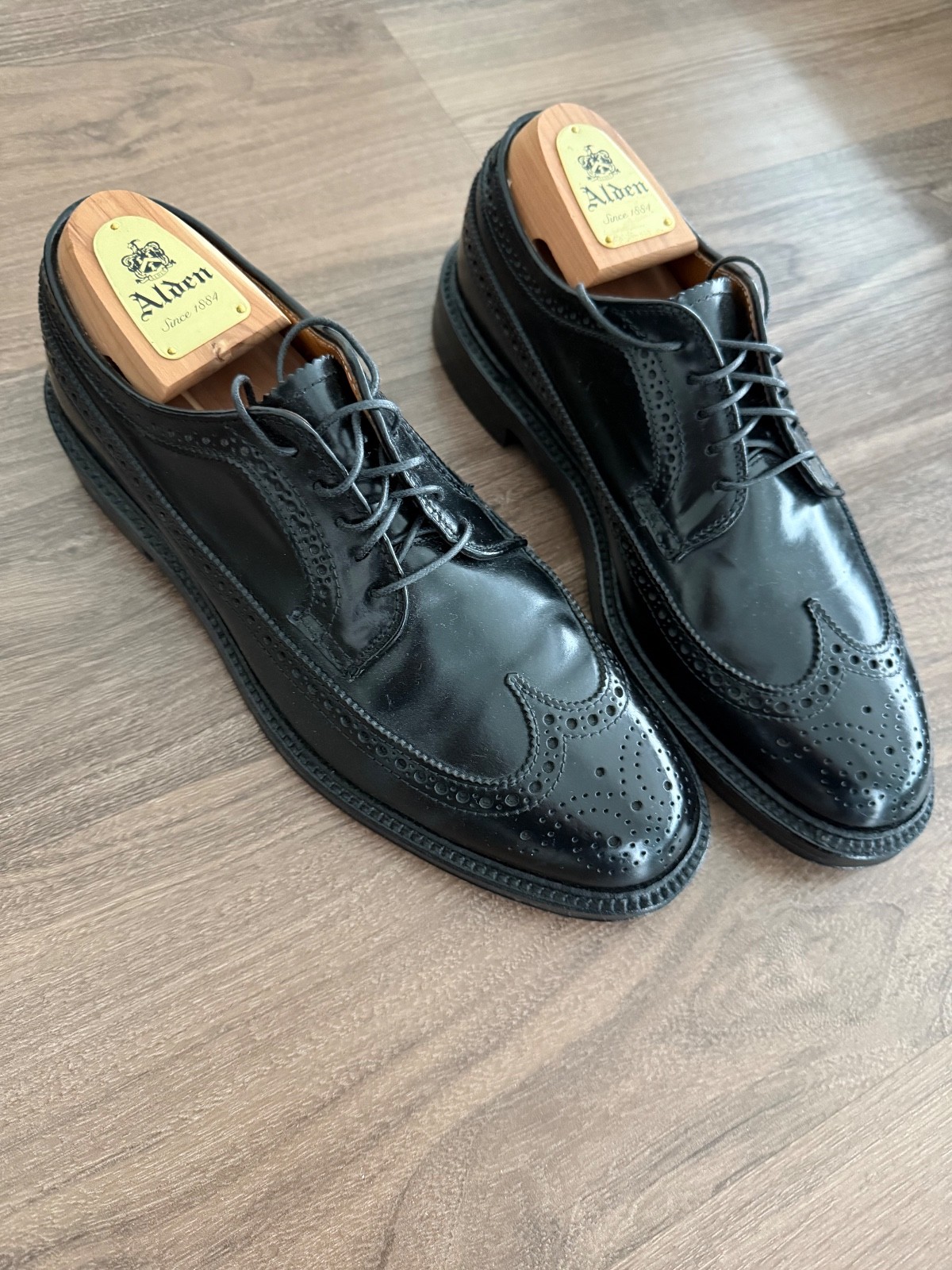 Alden 9751 Black Shell Cordovan Long Wing Blucher
