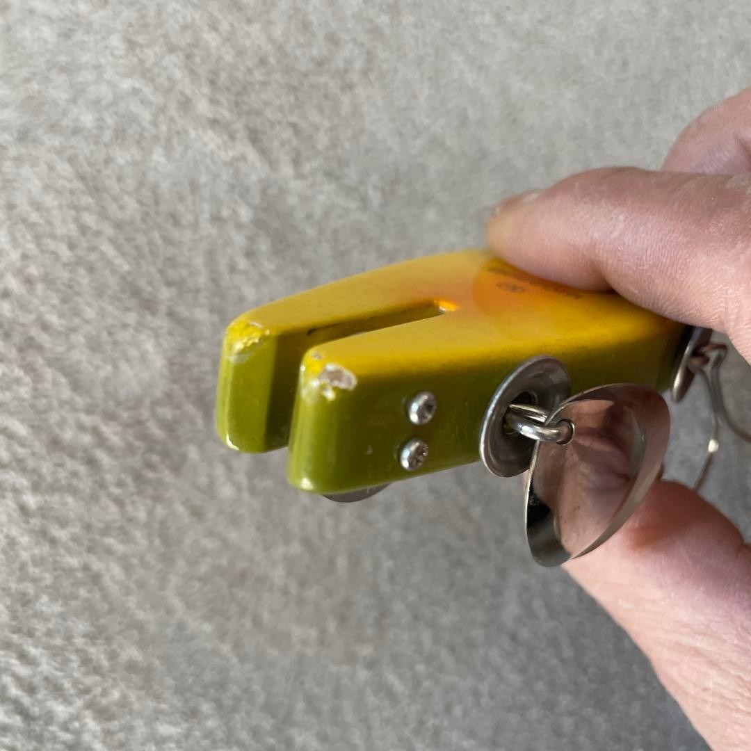 Bokkom Frog - Image 4