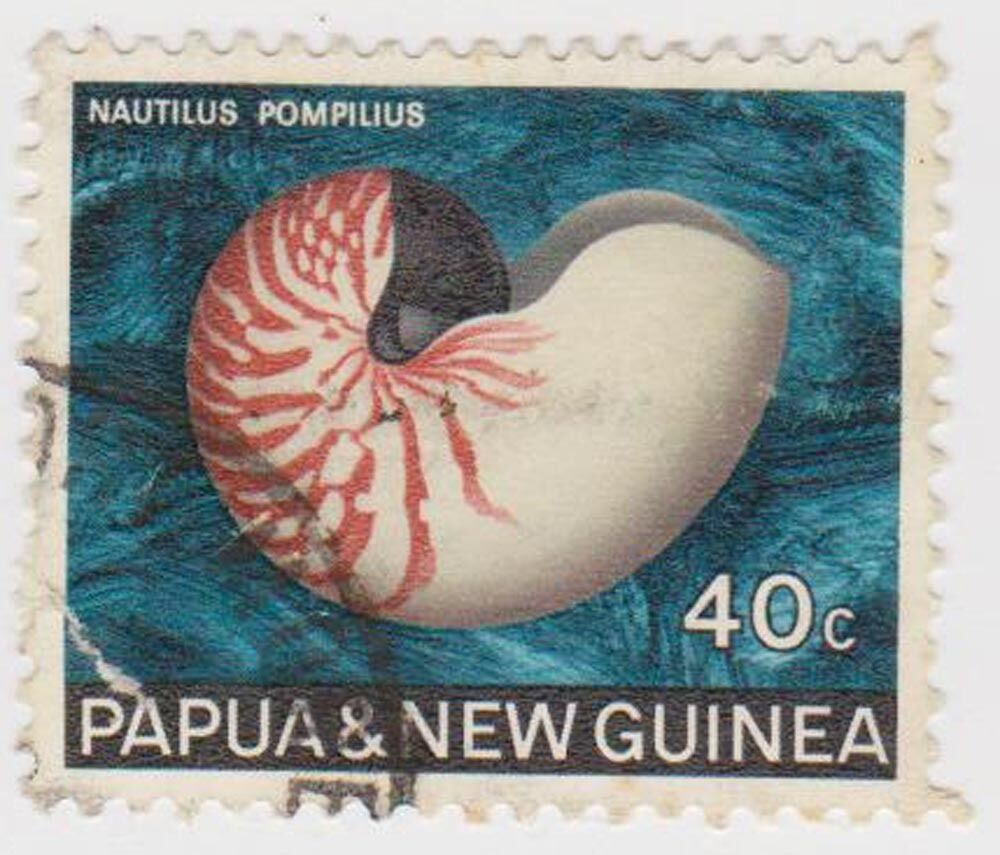 Stamp(PNG125)1968 PNG 40c Shell Multicolour Stamp ow148