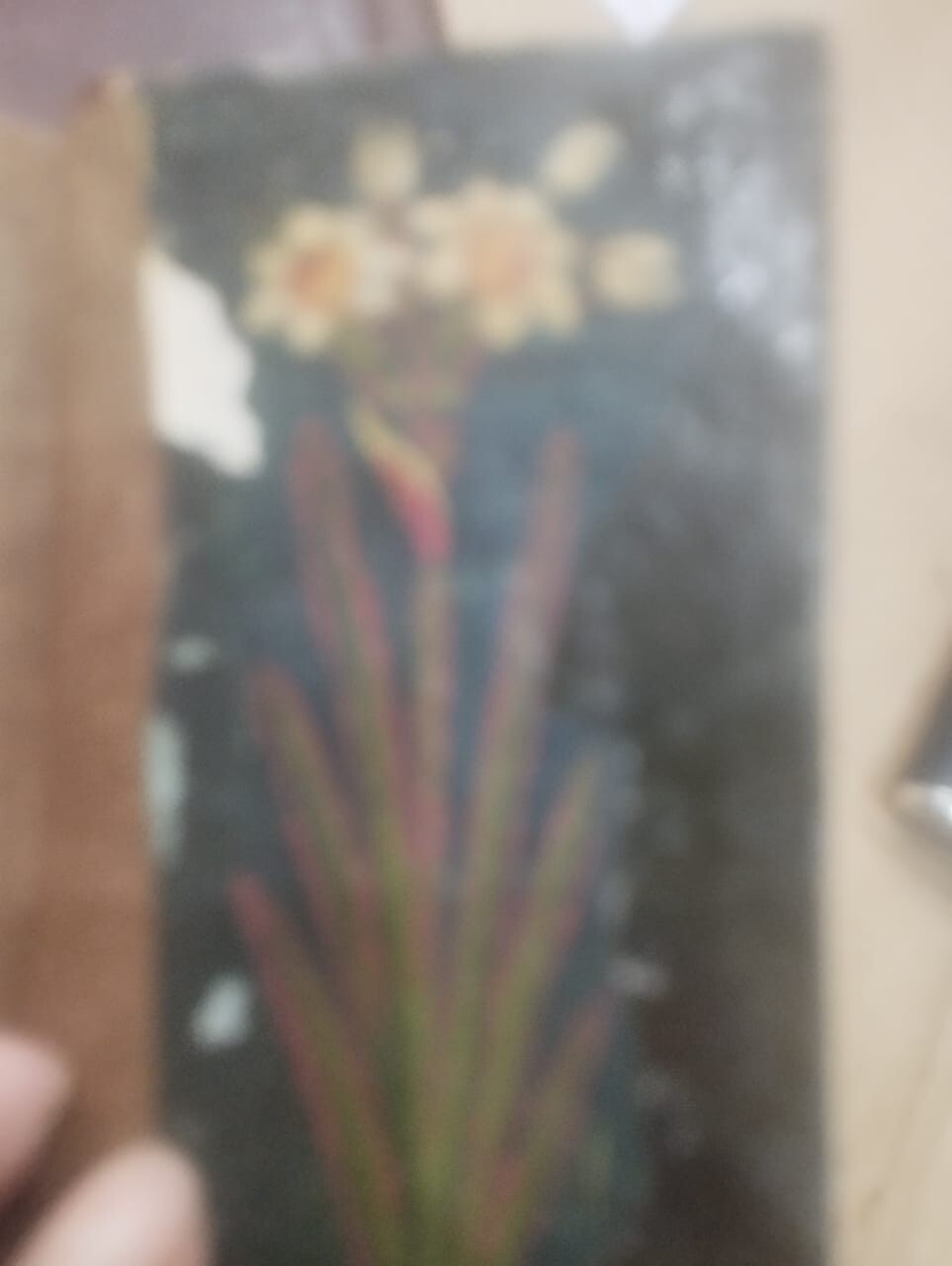 Picture 10 of 15