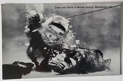 VTG 1941 PC MARINE STUDIOS DIVER ''WALKS'' DRUGGED SHARK MARINELAND FL NOS MINT *