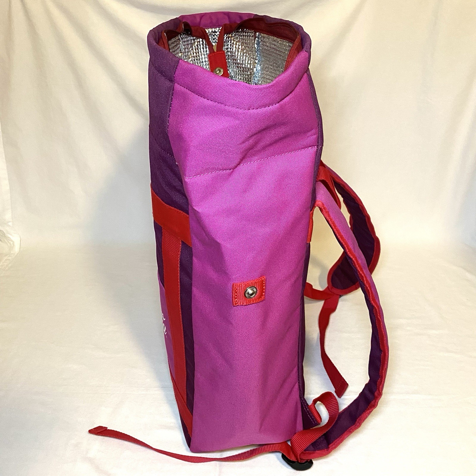 Rare Coca-Cola Spiced Insulated Zipper Bag Backpack W/ Snaps Coke Used