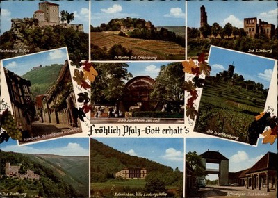 Pfalz Germany View vintage postcard u722