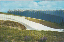 Summer Snow in The Olympic Mountains-Olympic National Park, Washington