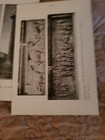 Picture 21 of 24