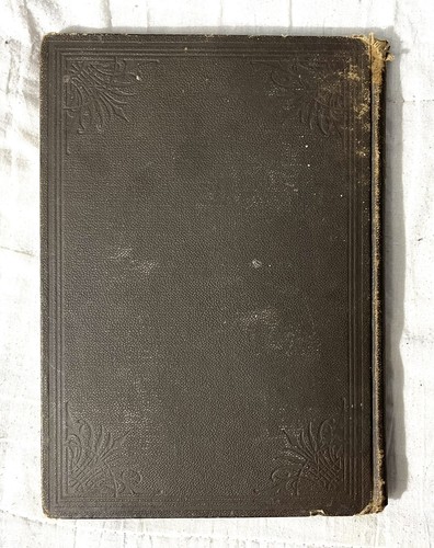 Salesman Sample Antique Book-THE GROWING WORLD -1886 Victorian Science Art etc. - Picture 3 of 18