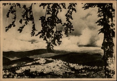 Predeal Romania Aerial view vintage postcard y782